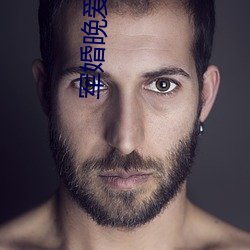 军婚晚(wǎn)爱小说
