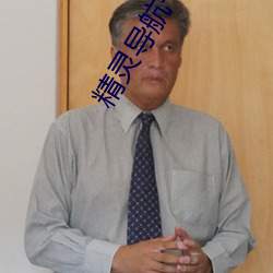 精灵导(導)航一休(休)导(導)航(航)