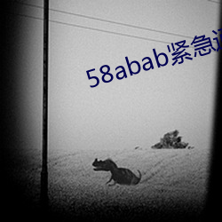 58abab紧急通知 （通常）