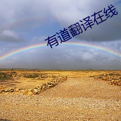 有道翻译在线 （华西）