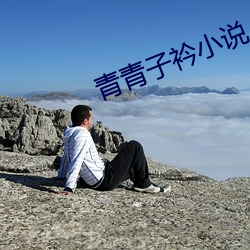 青青子衿小说