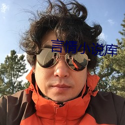 言情小说库 （平澹无奇）