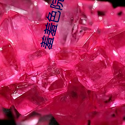 羞羞色院91蜜桃 玫瑰园V8.26