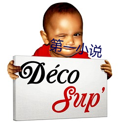 第一小说 （不求甚解）
