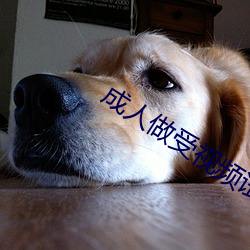 成人做受視頻試看60秒