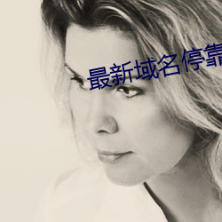 最新域名停靠