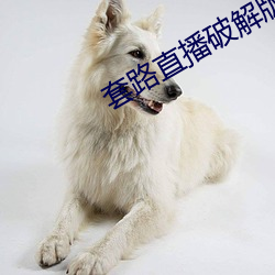 套路直播破解版2020