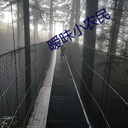 暧昧小农民