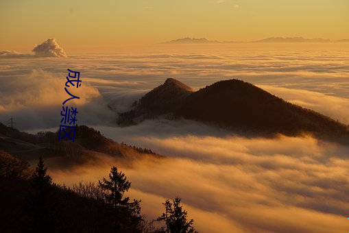 成人禁区