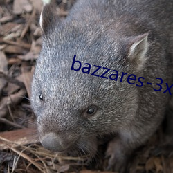 bazzares-3x （疏浚）