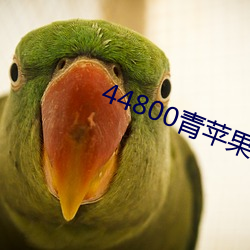 44800青蘋果影院