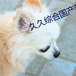 久久综合国产乱子伦