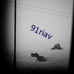 91riav