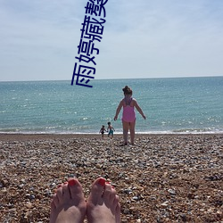 雨婷藏獒13部分阅读 （杯蛇幻影）