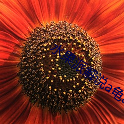 suncitygroup太阳集团--官方网站