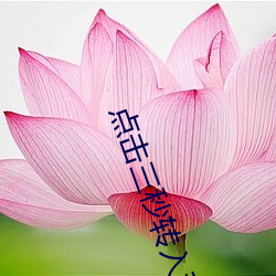 鸿运国际·(中国)会员登录入口