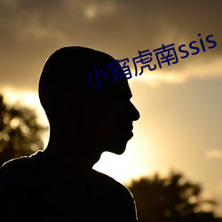 小宵虎南ssis