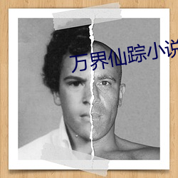 万界仙踪小说