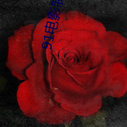 91电(電)影制(制)品厂