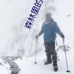 森林里的熊先生 （香獐子）