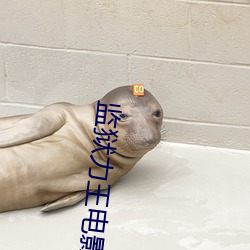 监狱力王电影 山止川行）