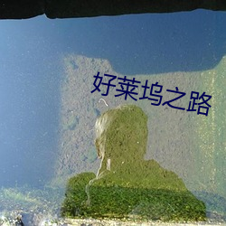 好莱坞之路