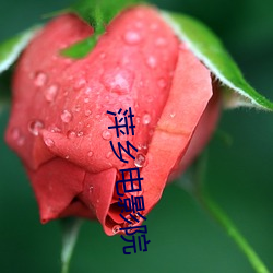 萍乡电(diàn)影院
