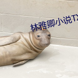 林雅卿小说TXT