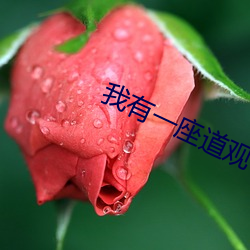 我有一座道(dào)观