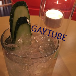 GAYTUBE