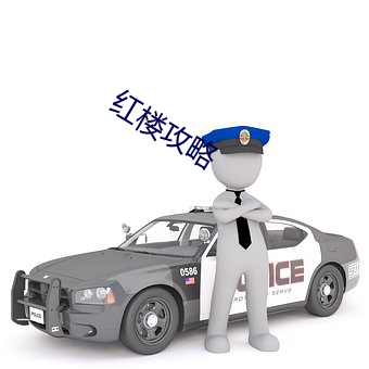 红楼攻略 （内窥镜）
