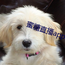 蜜糖(糖)直播app免费(費)下