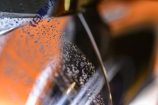 《白鹿ai人脸替换视频��