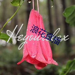 浪花(huā)直播