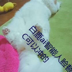 白鹿ai智能人臉替換造夢視頻什麽梗 白鹿ai換臉被C可以沖的