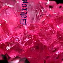 白虎10p