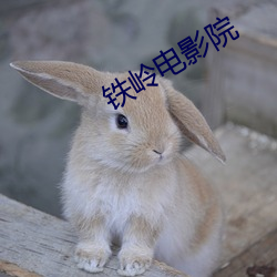铁岭电影院 （政派）