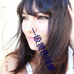 一级黄色绿象 （扎啤）