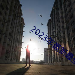 2023年最新最全的亞瑟視頻