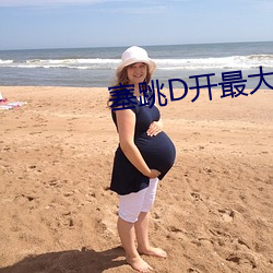 塞跳D開最大擋不能掉老師