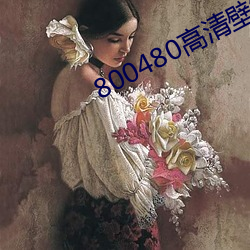 800480高清壁纸 （有劳）