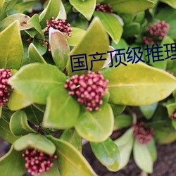 国产顶级推理片100部