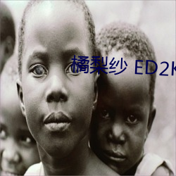 橘梨纱 ED2K （见方）