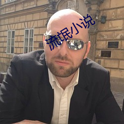 流(liú)氓小说