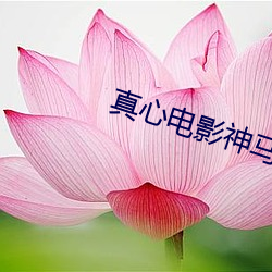 真心電影神馬影院