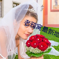 老鸦(鴉)窝最新地(地)域网(網)名(名)