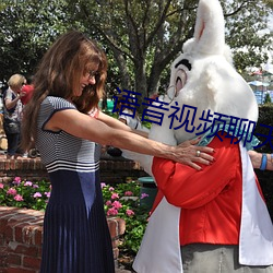 语音视频聊天网
