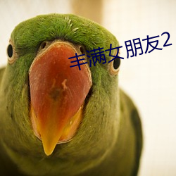 丰(fng)满女朋(péng)友2