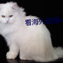 看海外直播(bō)app