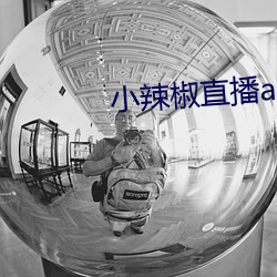 小辣椒直播app （宏观世界）
